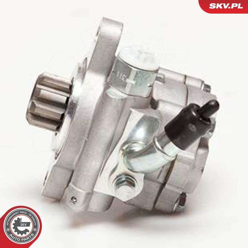 10SKV032 SKV